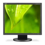 NEC AccuSync AS193I-BK 19 inch 1,000:1 14ms VGA-DVI WLED LCD Monitor (Black)